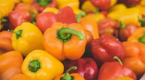 Заради студеното време: На Острова останаха без чушки, купуват до 2 броя 