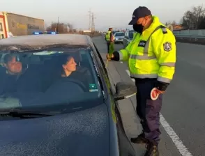 Стотици лалета днес ще подарят полицаите в Костинброд