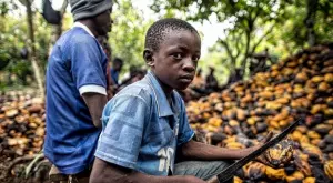 Цената на шоколада: Децата роби в какаовите плантации