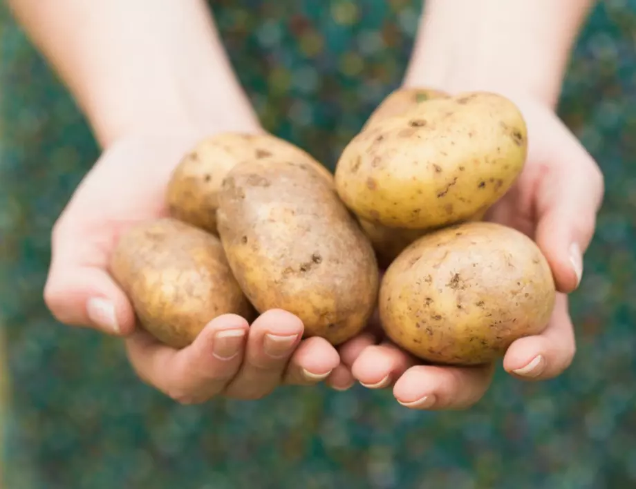 Какво (не) знаем за картофите?