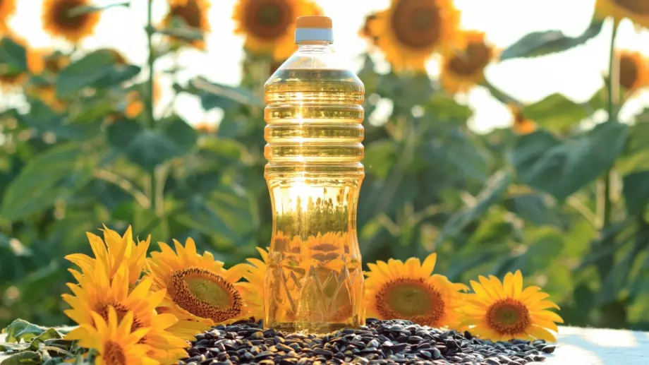 Изграждат нов завод за преработка на слънчоглед край Видин