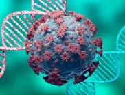 Учени с отговор как възникват новите варианти на коронавируса