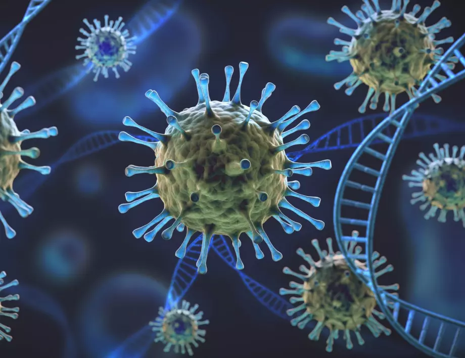 Нови проучвания прогнозират доживотен имунитет към COVID-19