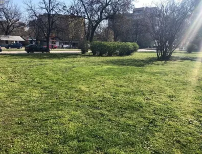 Започна усилено косене на тревните площи във Видин