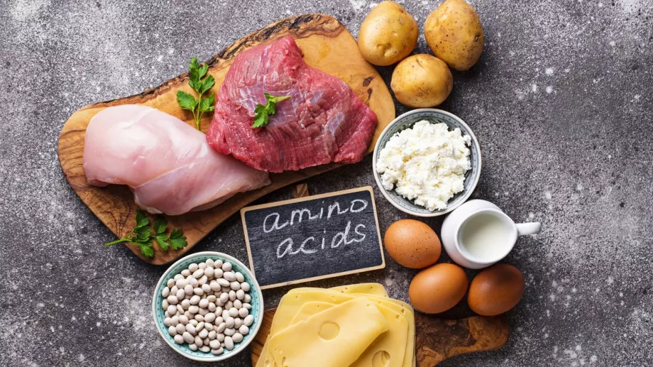 Защо аминокиселините са важни и как да си ги набавим