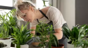 Ето как правилно да пресаждаме растенията, без да ги убиваме