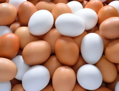 Защо кокошките си кълват яйцата?