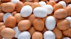 Яйцата предпазват от инфаркт и инсулт 