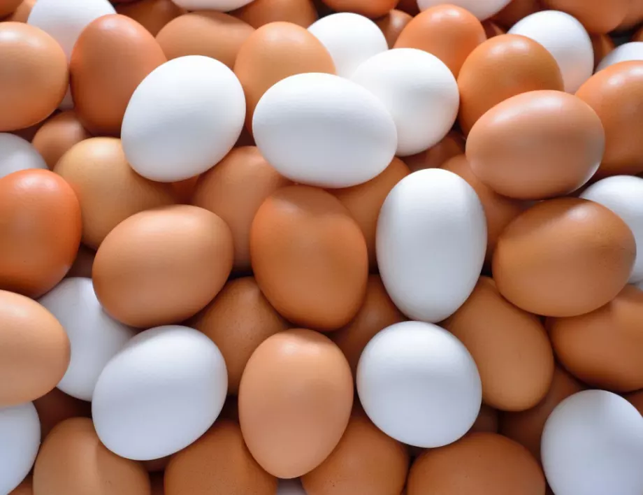 Фермер каза разликата между белите и кафявите яйца