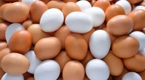 С наближаването на Великден: Какво ще се случи с цената на яйцата?