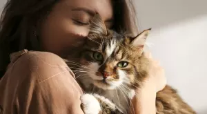 5 здравословни ползи от живота с коте