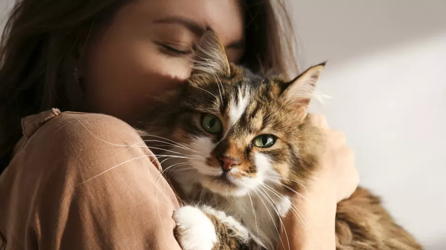 5 здравословни ползи от живота с коте