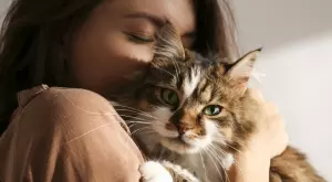 Кои са тотемните животни на всяка зодия?