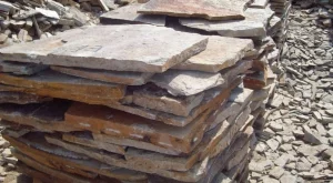 2021/04/16/0931563001618579803