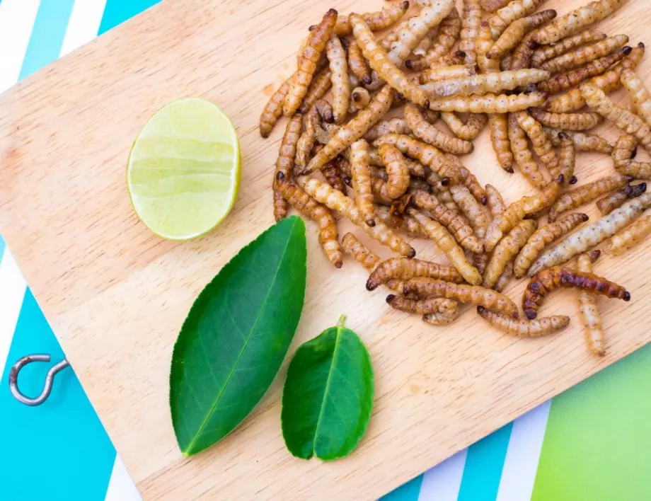 Как да се справим с теления червей по картофите