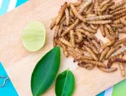 Не е вярно, че "хората вече ще ядат насекоми, без да го знаят": Factcheck