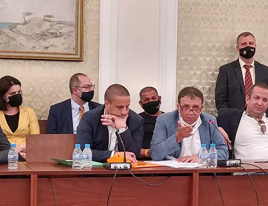 Кристина Петкова за случая "Илчовски": Подавали сме сигнали за незаконно загробване на норки, но прокуратурата продължи да спи