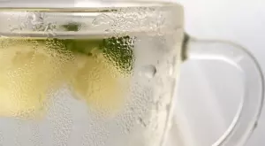 Домашна лимонада от бъз