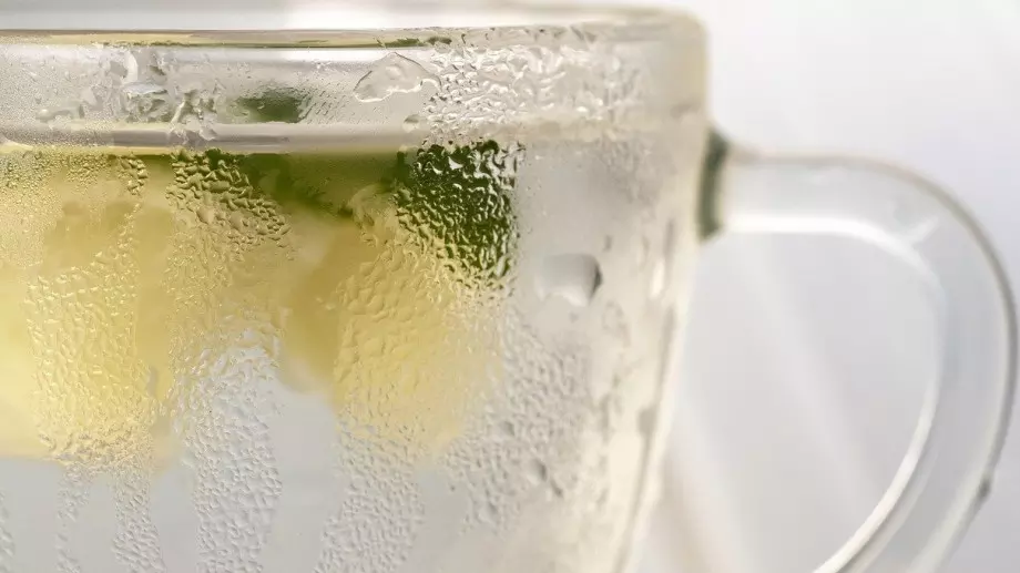 Домашна лимонада от бъз