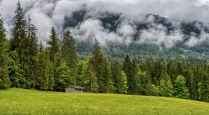 Дават по 100 лв. бонус на горските срещу корупция