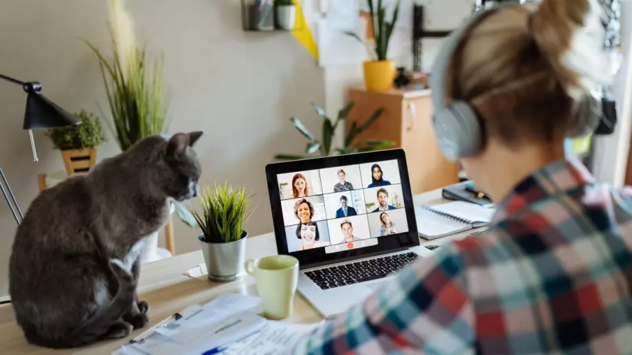 Проучване на ЕЦБ: 1/3 от служителите в еврозоната искат да работят повече дистанционно