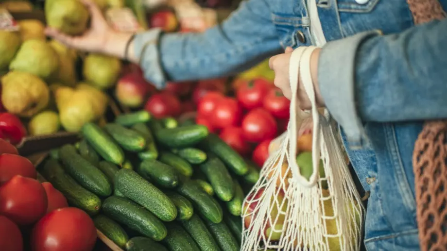 Градинари: След 10 години няма да ядем български плодове и зеленчуци