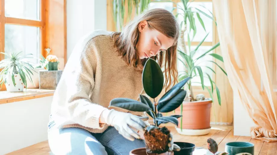 Хороскоп за днес, 19 август