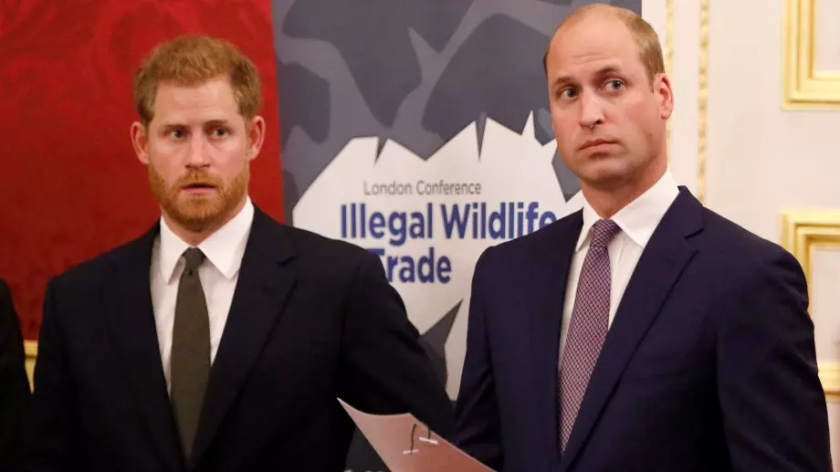 Принц Уилям и Хари заклеймиха интервю на принцеса Даяна за BBC