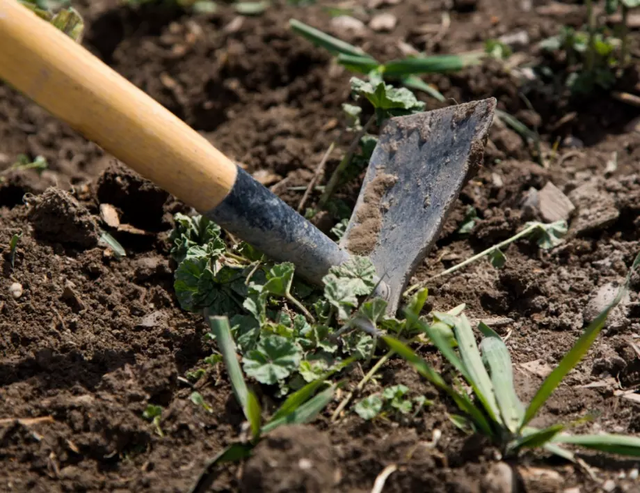 Направете това и ще забравите за плевелите в градината (ВИДЕО)
