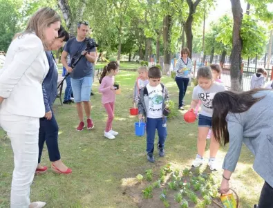 Хиляди нови цветя грейнаха във Видин (СНИМКИ)