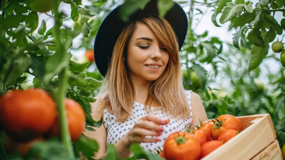 Ето защо да си похапвате домати по-често   