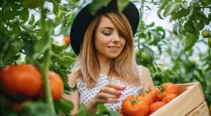 Едно изследване в Япония установява че яденето на домати и