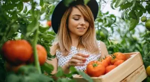 5 причини да ядете домати всеки ден