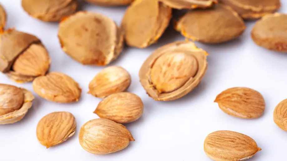 Тези ядки са опасни, водят до натравяне