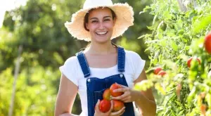 Какви инструменти ни трябват за градината?