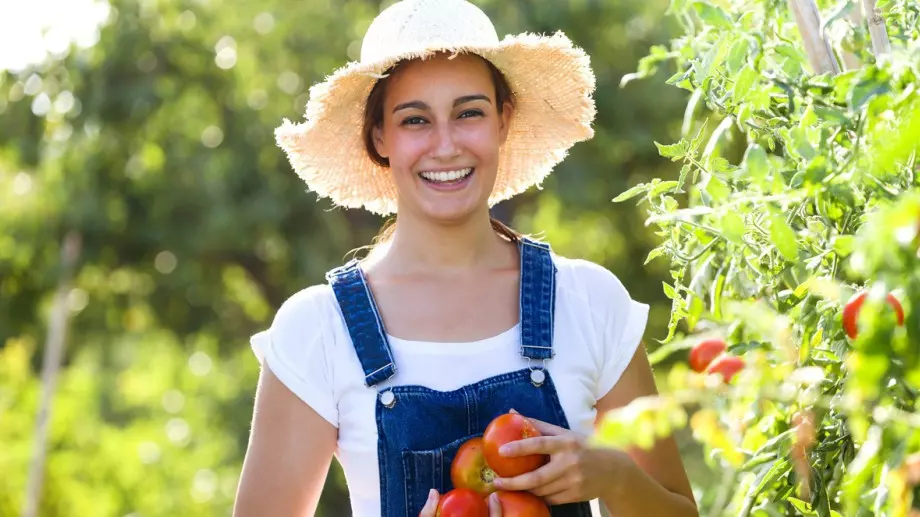 10 добри причини да си похапвате домати по-често