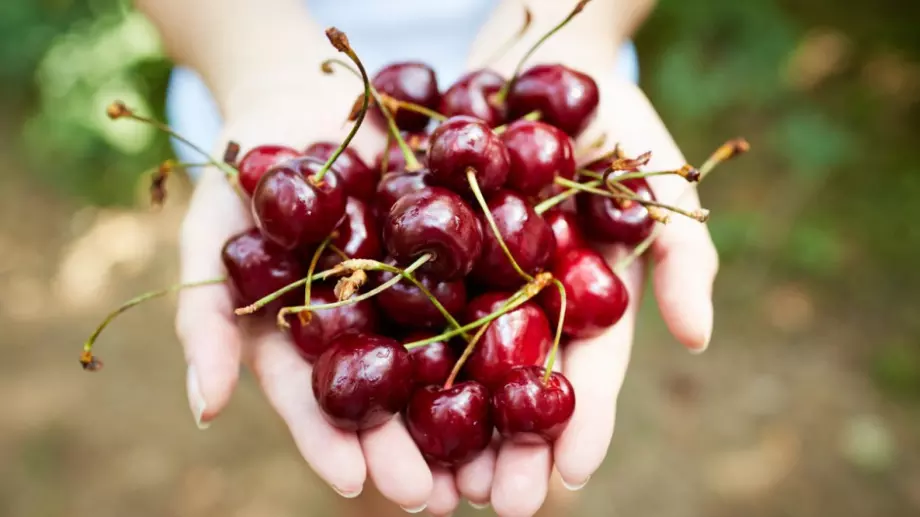 8 здравословни причини да ядете череши