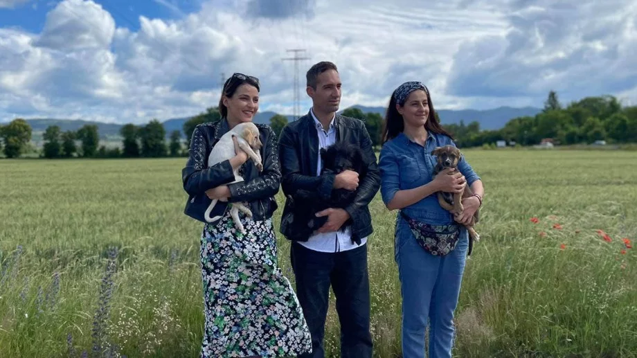 Родни звезди: Не купувай! Осиновявай кученца