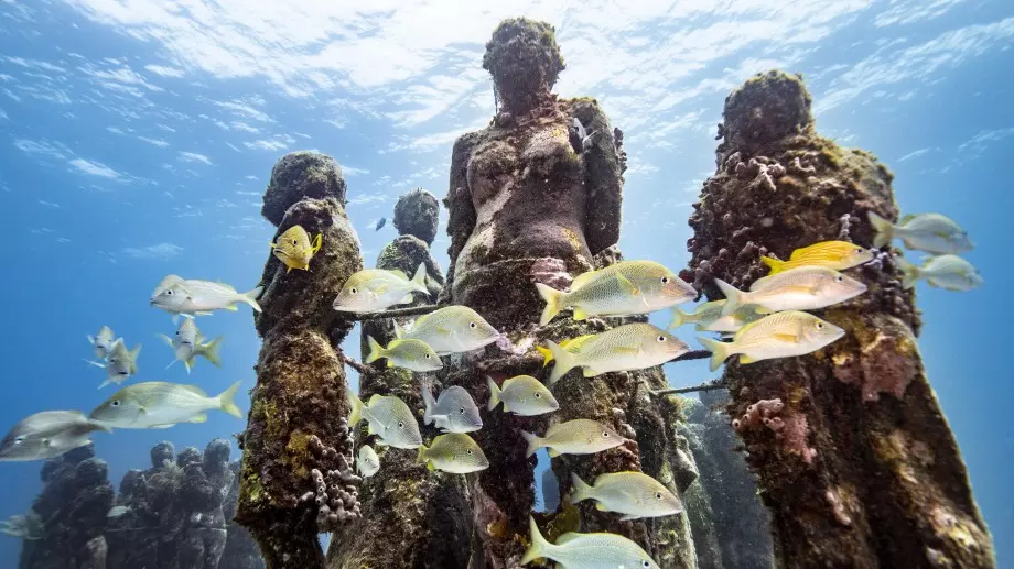 Най-необичайните музеи в света (ВИДЕО)