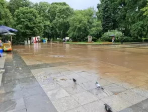 Буря с проливен дъжд удари София и наводни улици и подлези (СНИМКИ)
