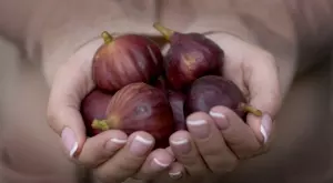 Яжте смокини за енергия, здраво сърце и добър метаболизъм