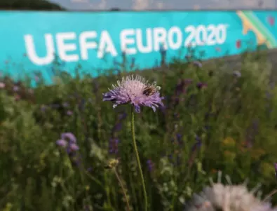 Евро 2020 спомогна за развитието на комерсиалните eFootball турнири