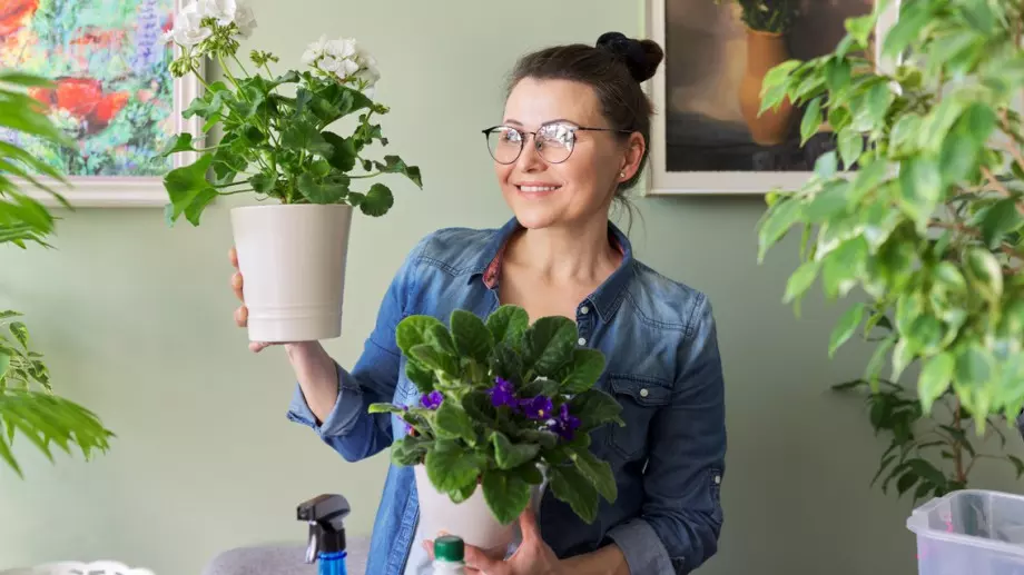 5 грешки, които допускате при избора на саксии за стайните си растения