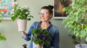 6 домашни растения, които притежават суперсили 