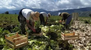Разплащат 7,5 млн. лв. по Програмата за развитие на селските райони