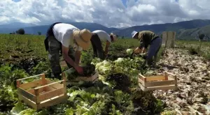 91% от всички ферми в България са семейни