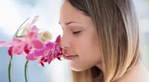 6 тайни, с които орхидеята ви ще цъфти през цялата година