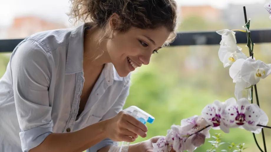 Ето защо пожълтяват листата на орхидеята и какво да направите