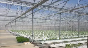 2021/07/02/0913869001625177480