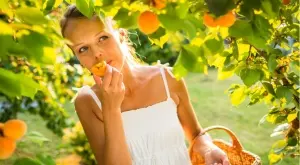 Страхотни ползи от кайсиите